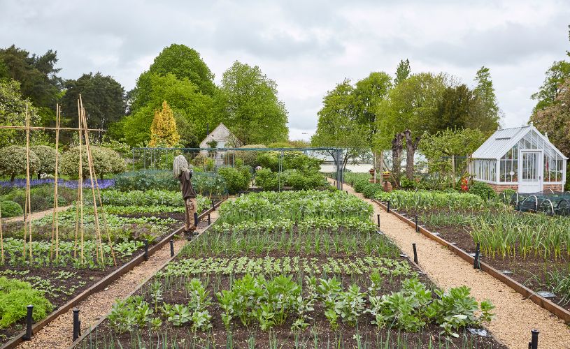 The PIG near Bath Kitchen Garden